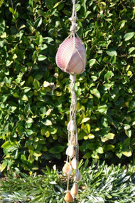 Big Cardium Pesodolima Nautical Seashell Windchime