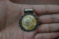 Conus Marmereus Shell Head Silver Plated Pendant