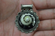 Black Conus Undosa Tip Shell Head Silver Plated Pendant