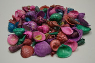 Assorted Dyed Multi Colored Mixed Seashells
