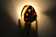 Black Cyprea Banded Pica Turbo Shell Nightlight