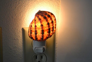 Harpa Seashell Shell Nightlight