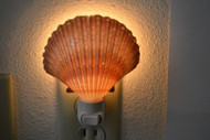 Yellow Mexican Cup Seashell Nightlight
