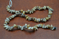 100 Pcs Small Brown Stripped Nassa Seashell Beads Strand