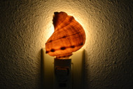 Brown Rapa Whelk Shell Nightlight
