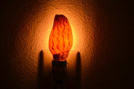 Brown Voluta Lapponica Shell Nightlight