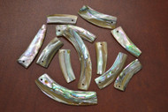 12 Pcs Abalone Shell Tusk Pendants