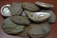 Green Abalone Seashell (One Side Polished) 3 1/2" - 4"