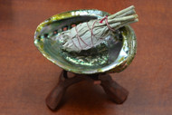 Abalone Kit - 5" Shell with 6" Wood Stand and 3" Sage