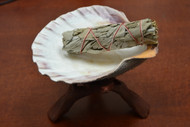 Lion Paw Kit - 5" Shell with 6" Wood Stand and 4" Sage