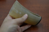 Honey Buffalo Horn Medieval Drinking Ale Cup 5"