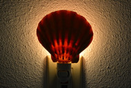 Orange Lion Paw Shell Nightlight