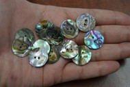 Abalone Shell Sewing Round Buttons 20mm