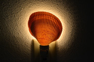 Pink Cardium Shell Nightlight