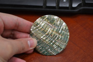 Abalone Shell Sewing Round Buttons 60mm