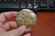 Abalone Shell Sewing Round Buttons 55mm