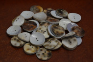 50 Pcs Cowrie Shell 2 Holes Sewing Buttons 20mm
