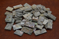1,000 Pcs Small Assorment Abalone Shell Blank Material