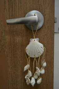 Assort White Irish Seashell Hanger Door Bottle Beach Decor