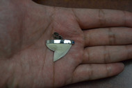 Modern Tiger Shark Teeth Silver Cap Pendant 1"