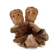 Two Hand Carved Owls on Parasite Wood