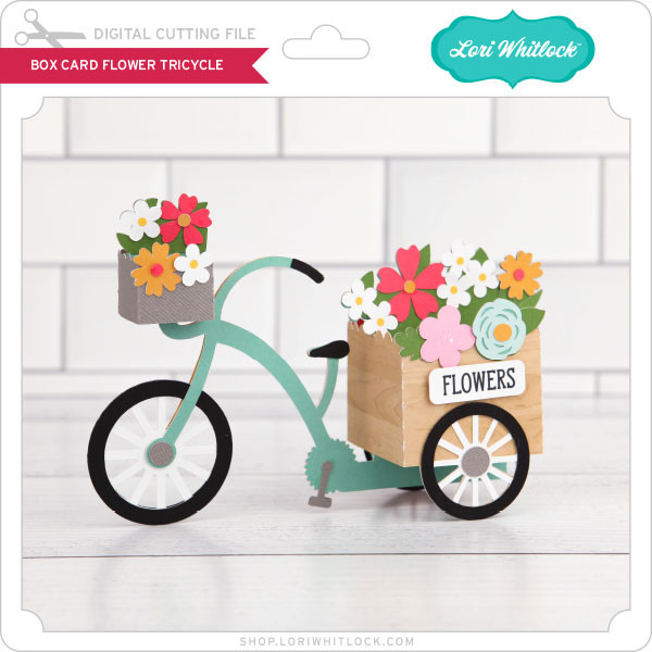 Download Box Card Flower Tricycle Lori Whitlock S Svg Shop
