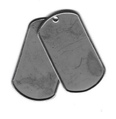 Dog Tags - Shop Mighty 8th