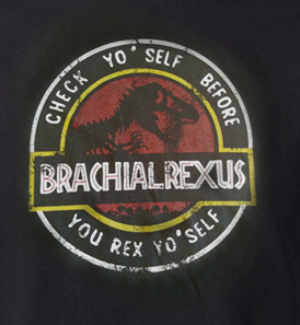 Brachialrexus