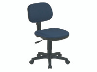 Deluxe Desk Chairs