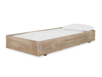 Catalina Trundle - Light