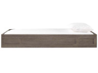 Catalina Trundle - Dark