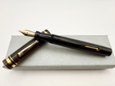 MOORE L-96 OVERSIZE LINED HARD RUBBER FOUNTAIN PEN #5 EF 14K FLEX NIB
