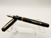WATERMAN 513 J INKVUE FOUNTAIN PEN F 14K FLEX NIB