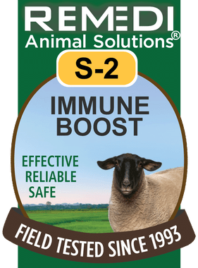 Sheep Immune Boost