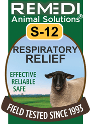 Respiratory Relief for Sheep