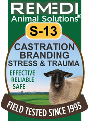 Castration and Branding Stress & Trauma Releif for Sheep