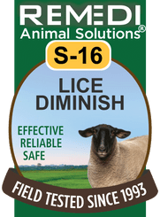 Lice Diminish for Sheep