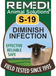 Diminish Infection in Sheep