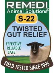 Twisted Gut Relief for Sheep