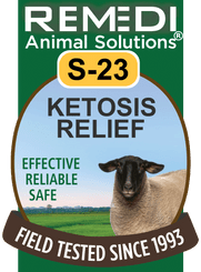 Ketosis Relief for Sheep