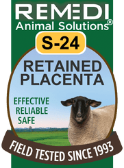 Retained Placenta for Sheep