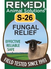 Fungal Relief in Sheep