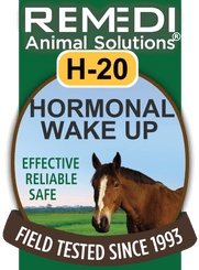 Hormonal Wake Up for Horses, H-20