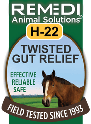 Twisted Gut Relief for Horses, H-22