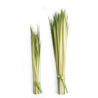 Short Double Palm Strips