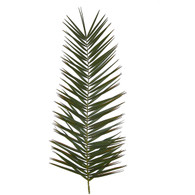 Date Palm Decor