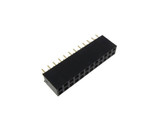2x12P 2x12 Pins 2.54mm 0.1" Female Header Black - Pack of 10  